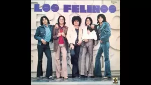 Somos promotores y representantes musicales. Consulta los Precios, costos y fechas disponibles de Los Felinos. Solicita informes, contrataciones y contactalos ¡ahora!
