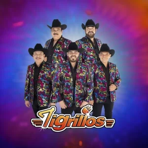Somos promotores y representantes musicales. Consulta los Precios, costos y fechas disponibles de Los Tigrillos. Solicita informes, contrataciones y contactalos ¡ahora!
