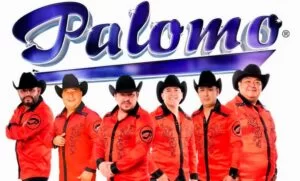 ¿Necesitas saber cual es el precio de Palomo? Solicita informes, contrataciones, somo promotores autorizados.