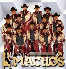 ¿Necesitas saber cual es el precio de Banda Machos? Solicita informes, contrataciones, somo promotores autorizados.